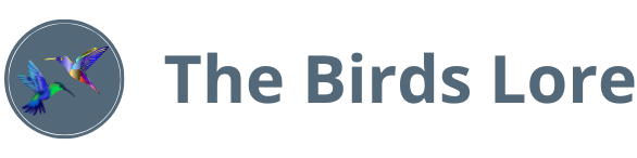 The Birds Care Zone